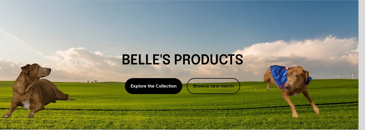 Belle's Official Shop preview